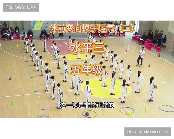 篮球运球变向规则解析,区分合法与违例动作