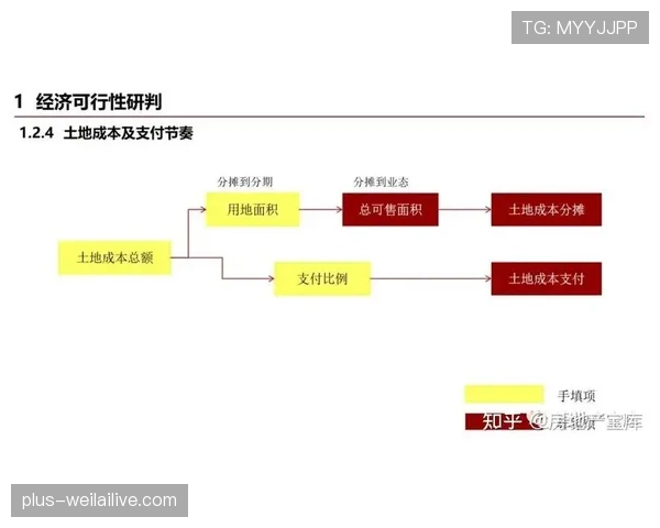 视频比赛官员如何影响VAR判罚的最终决策逻辑解析